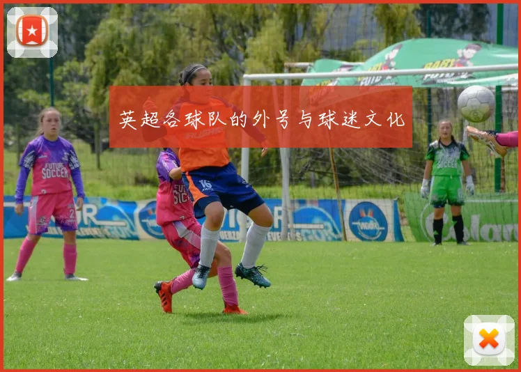 英超各球队的外号与球迷文化