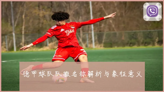 德甲球队队徽名称解析与象征意义