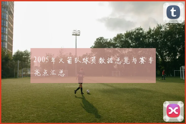 2005年火箭队球员数据总览与赛季亮点汇总